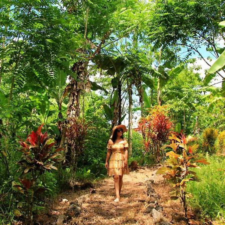 Natura Gardens Galapagos Bellavista  외부 사진