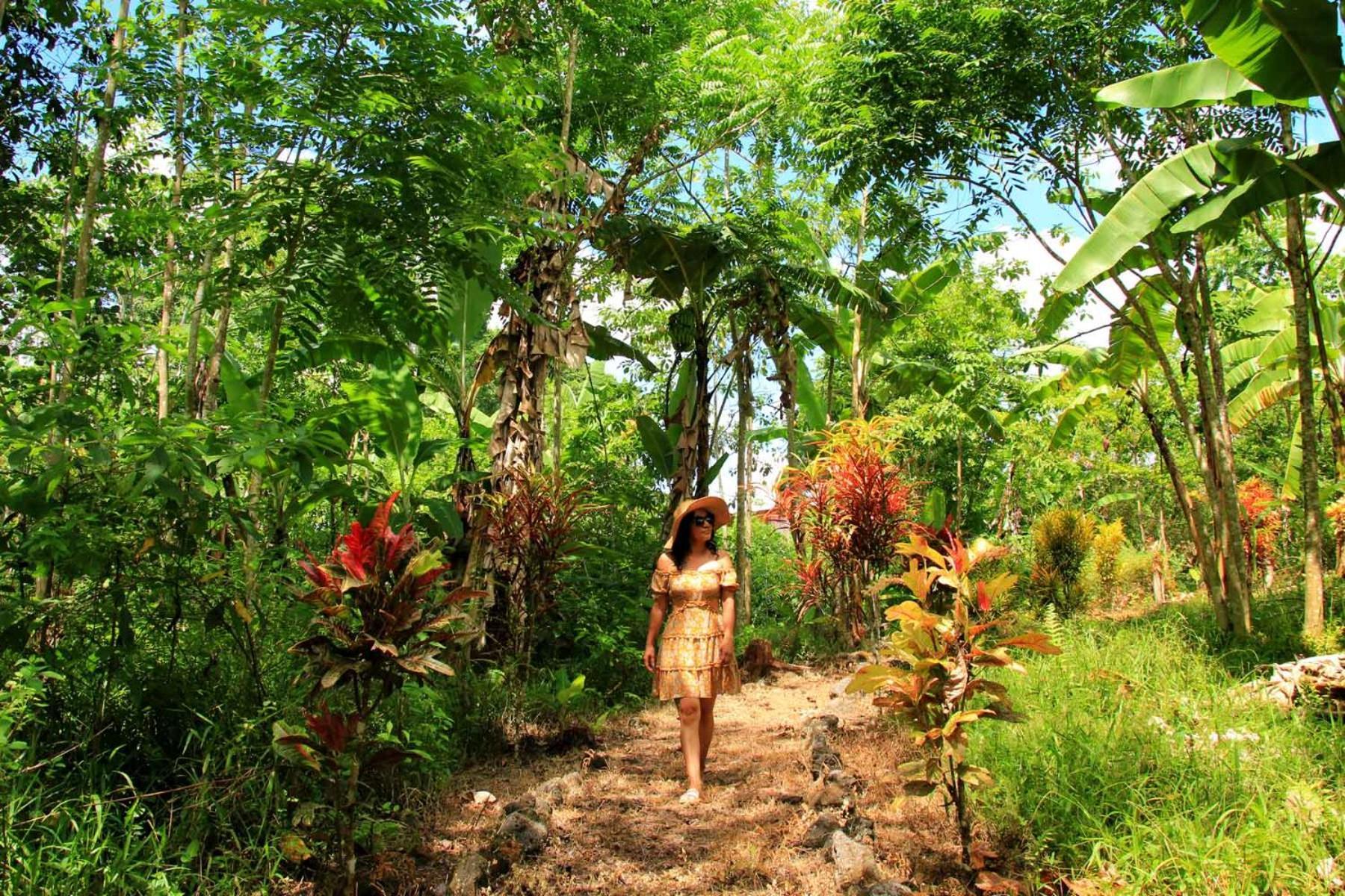 Natura Gardens Galapagos Bellavista  외부 사진